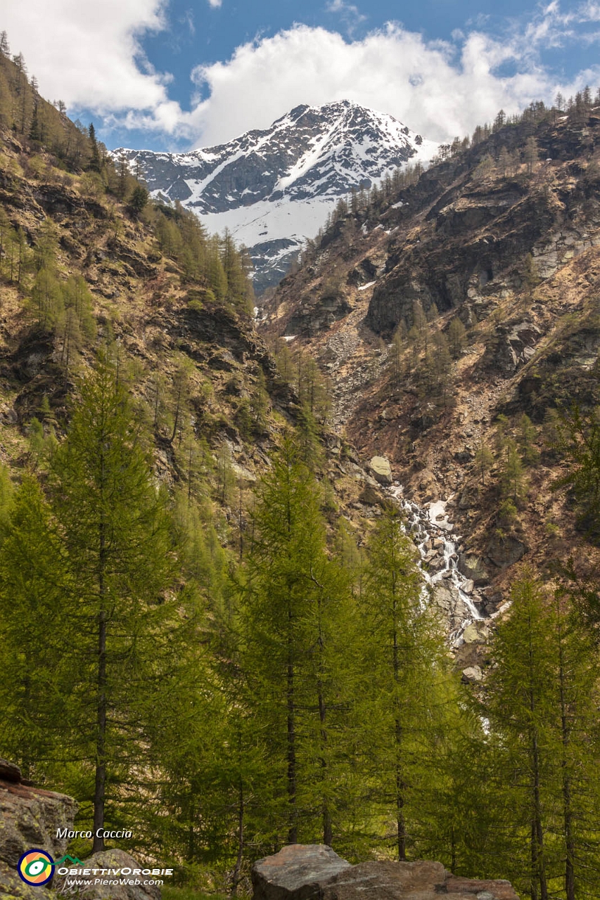 01_Pizzo Stella dal sentiero per il rifugio Chiavenna.JPG